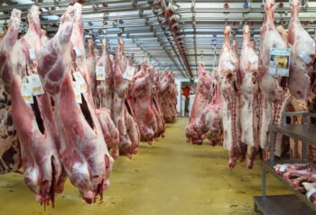 ۲۲۶ هزار تن گوشت و مرغ در مرداد امسال عرضه شد