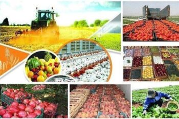 سهم ۰.۳ درصدی ایران از صادرات صنایع غذایی جهان