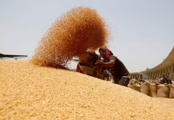 اختصاص ۱۵۰۰ میلیارد تومان برای پرداخت مطالبات گندمکاران خوزستانی