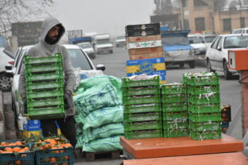 جمع‌آوری و معدوم‌سازی کالاهای غیرمجاز میدان میوه و تره‌بار