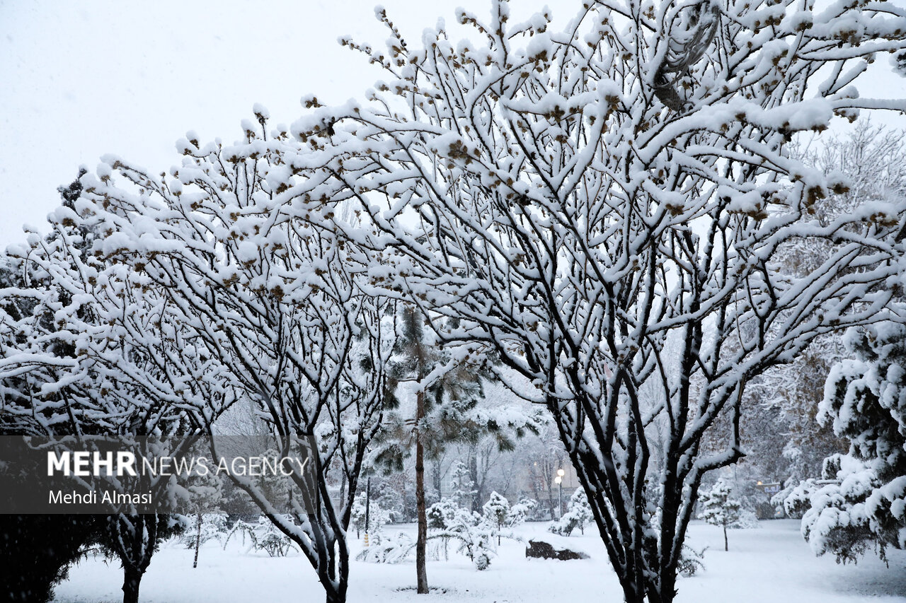 هواشناسی ایران ۲۵ آذر؛ کدام استان ها برف می بارد؟