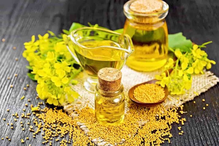 چرخش معکوس در بازار روغن؛ کاهش واردات روغن خام و افزایش کنجاله اشتباهی استراتژیک